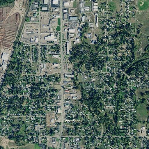 Person fallen near Mallard Drive in Evergreen
