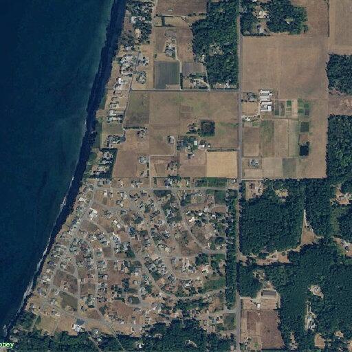24-year-old male suicidal in mental health crisis in Coupeville