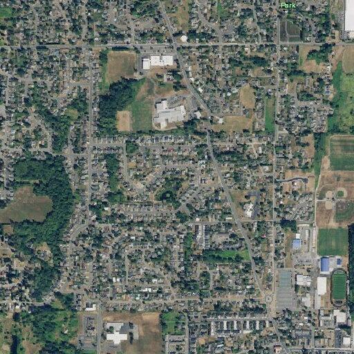 Person sick near Sherry Place in Ferndale