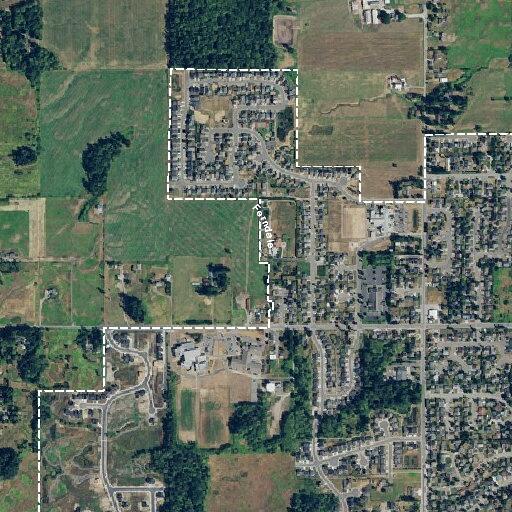 Person experiencing allergic reaction at Ferndale residence