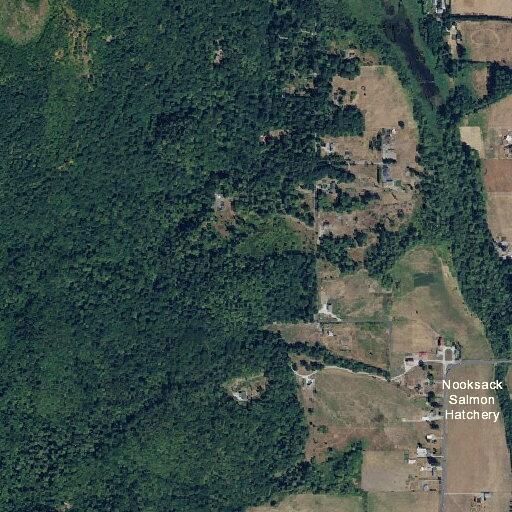 Traffic collision near Mount Baker Highway