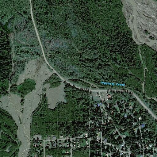 67-year-old male vomiting with severe back pain in Seward