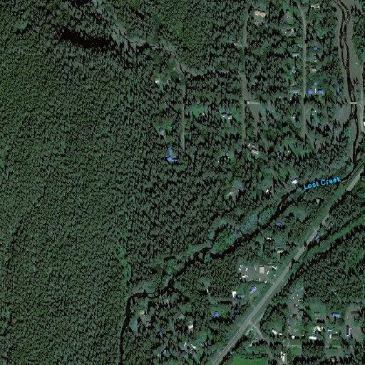 19-year-old female choking on food in Seward