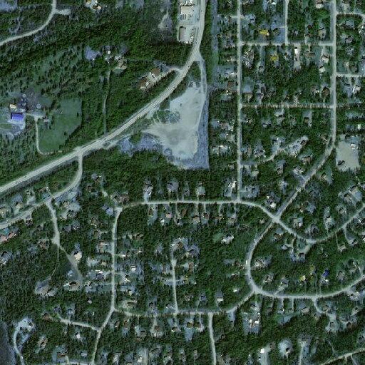Man fell from tree and is unresponsive in Wasilla