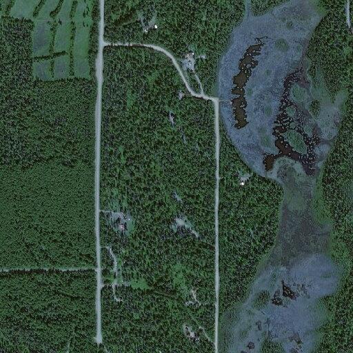41-year-old woman with lower back pain in Talkeetna