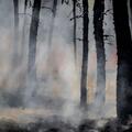 article img