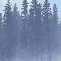 article img
