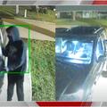 article img