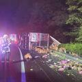 article img