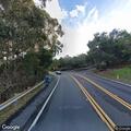 Officer finds dead deer on road near Chapman
