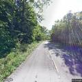 Cow blocking roadway on Highway 144