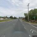 Loose dog creating traffic hazard on Redwood Avenue