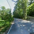 Tree blocks Route 113 after hitting vehicle, no injuries