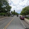 Dogs loose in roadway near Meadow Lane