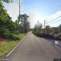 Tree on wires causing road hazard on Middlebrook