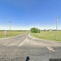 Loose cattle blocking roadway near Bermuda
