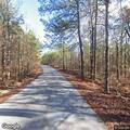 Report of controlled burn on River Ranch Road