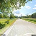Injured animal lying in road on Pine Hill Road