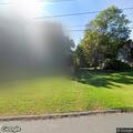 Loose dog found in backyard on John Street