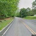 Bear found alive in illegal steel trap near roadway