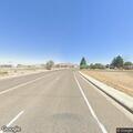 Cattle on roadway creating traffic hazard
