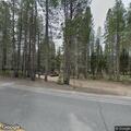 Tree blocking road on Carpenter Valley Road