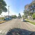 Car crashes into tree on Orange Street