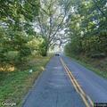 Sheep running in roadway on Woodsmill Road