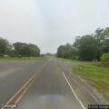 Cows blocking traffic on FM 2658 near FM 1251