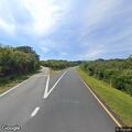 Dead deer on westbound shoulder of Montauk Highway