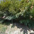 Complaint of illegal yard burning on Marshall Street