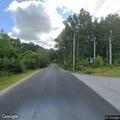 Loose dog walking in roadway