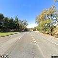 Injured deer on shoulder of Missouri Flat Road