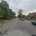 Loose dog reported near Columbus and Washington