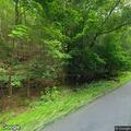 Tree on wires at Catawissa Road in Walker Township