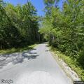 Tree removed from Bog Road after roadway hazard