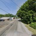 Loose dogs reported on East Main Street