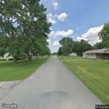 Cow loose on Ezell Street