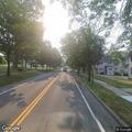 Dog loose in roadway on East Main Street
