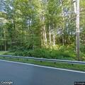 Two small trees down on Great Barrington Road