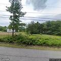 Tree on utility wires on Beech Hill Road