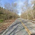 Low-hanging branch blocking northbound lane