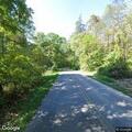Large fallen tree blocking Woodlane Drive