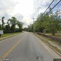 Loose dog running in roadway near vehicles