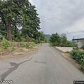 Man reports loose dogs near Grandview Boulevard