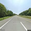 Vehicle hit deer on Route 17 near Livingston Manor