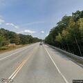 Loose dog secured from traffic on Route 25