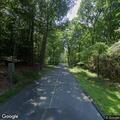 Branches hanging over roadway on Chestnut Hill Road