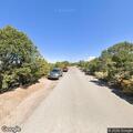 Injured deer reported on roadway near resort