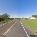 Deer blocking traffic on Highway 6 and Highway 0